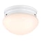 Westinghouse Westinghouse Polished Switch LED Light Fixture 61071 - alternate 1